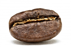 Zrnková káva bez kofeínu
